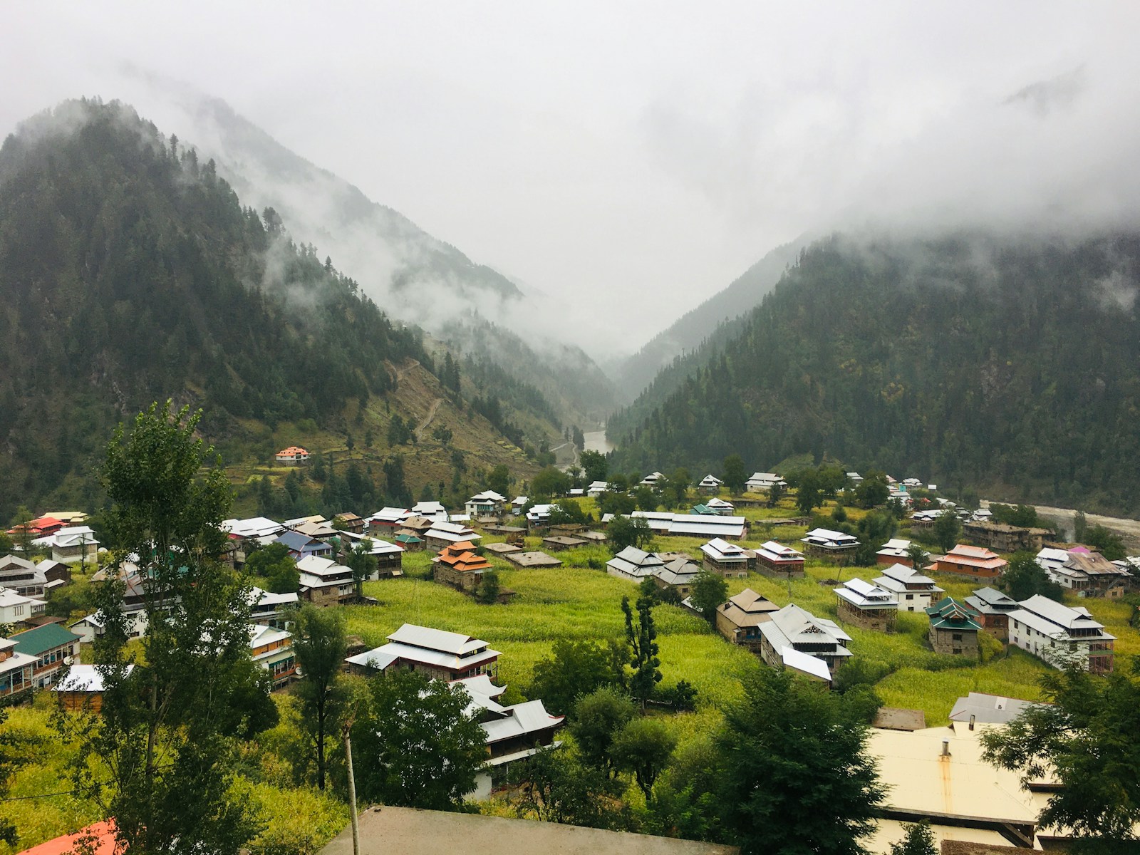 Arang Kel
