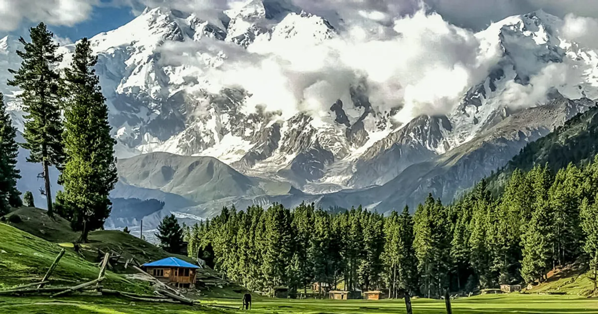 Towards Fairy Meadows