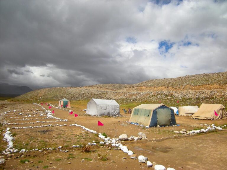 Camps