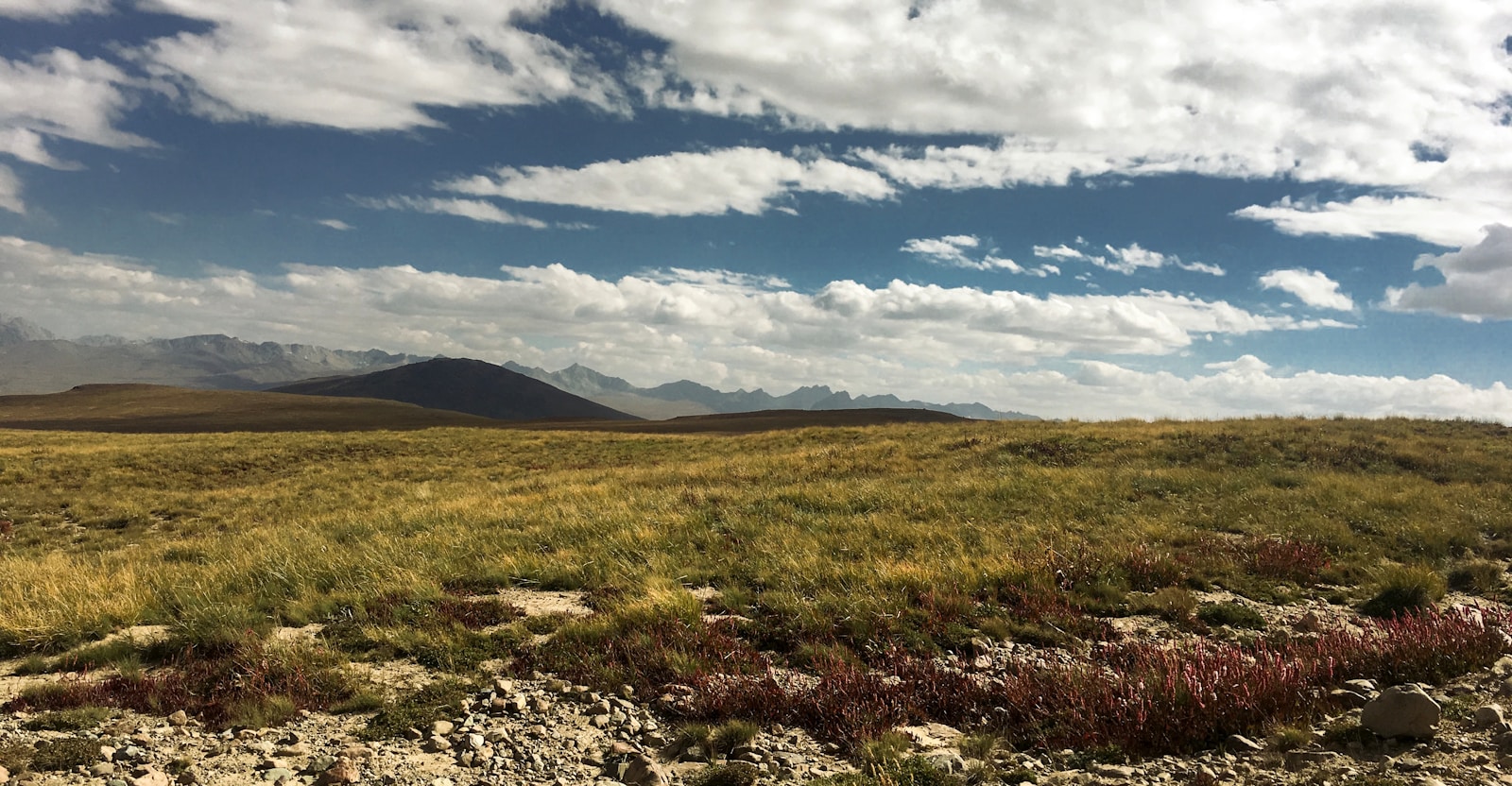 Deosai Plains