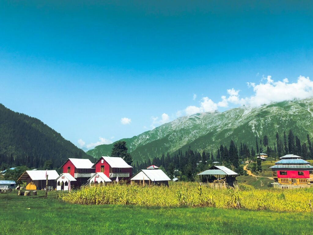 Arang kel