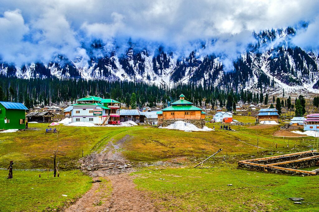 photo of Arang kel