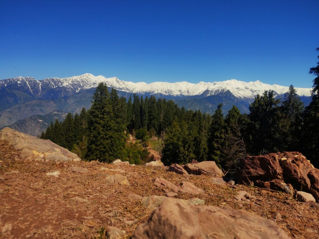Shogran