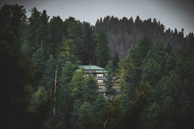 World Tourism Day, Galiyat