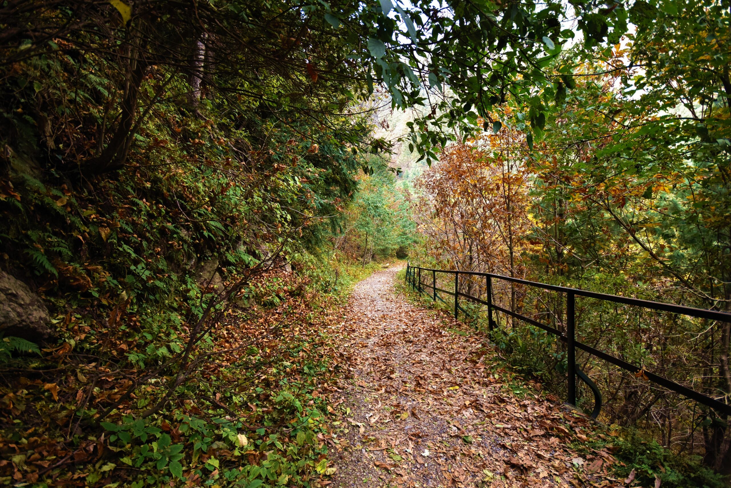 Pipeline Track
